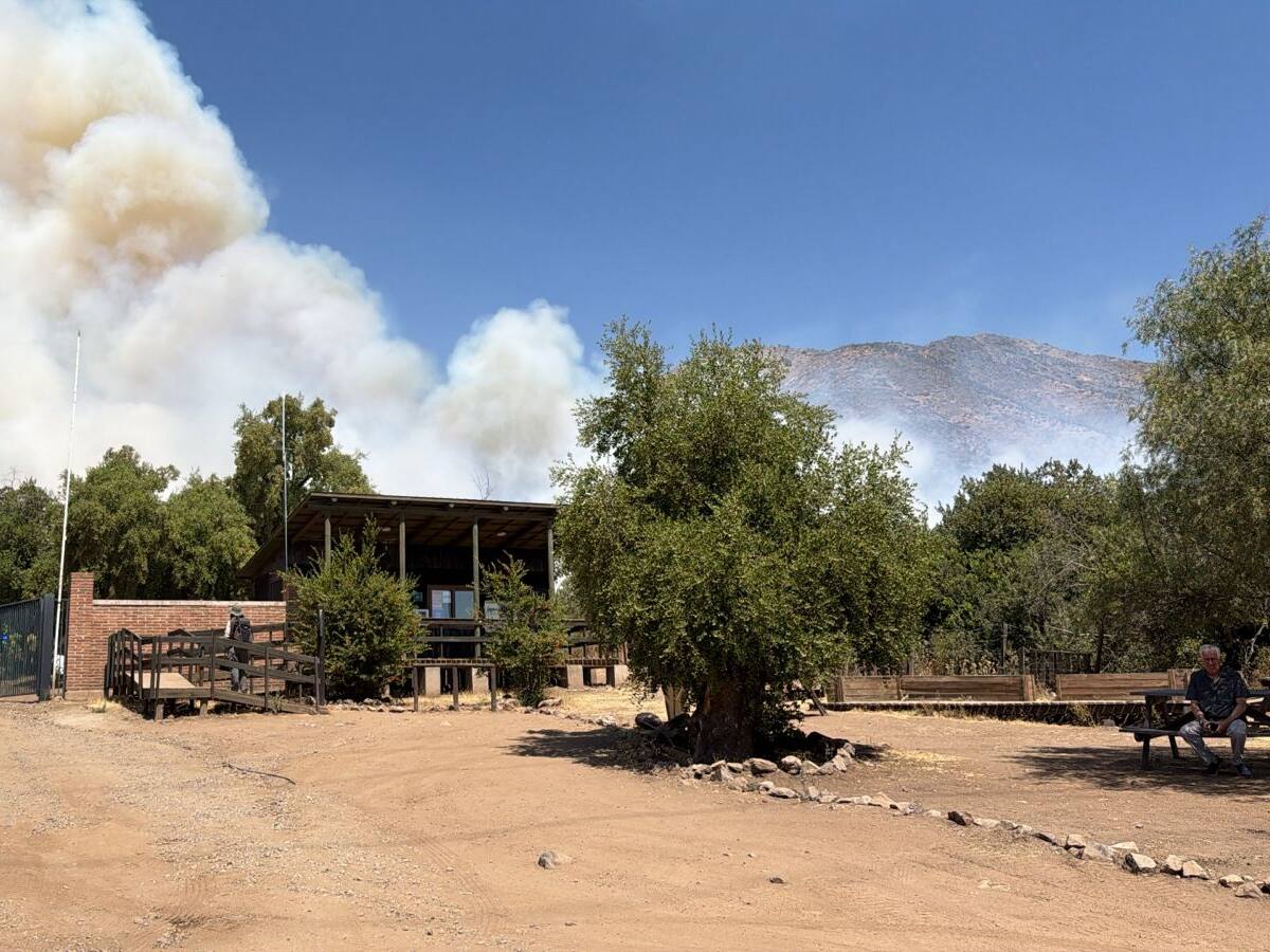 Incendio forestal en Las Condes activa tercera alarma y despliegue de 14 compañías: está en cercanías del Claro Arena