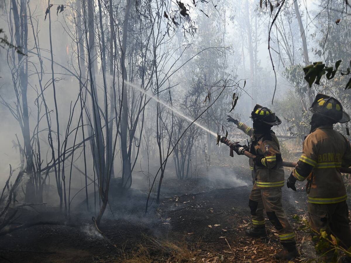 Gobierno e intencionalidad de incendios forestales en el sur de Chile: “La investigación determinará el grado de participación de los detenidos”