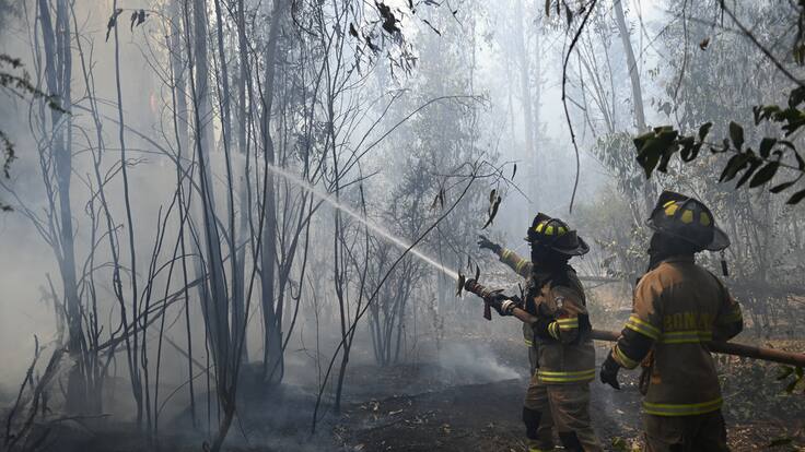 Incendios forestales en la región de Valparaíso: tres focos se mantiene activos y cinco comunas están bajo Alerta Roja