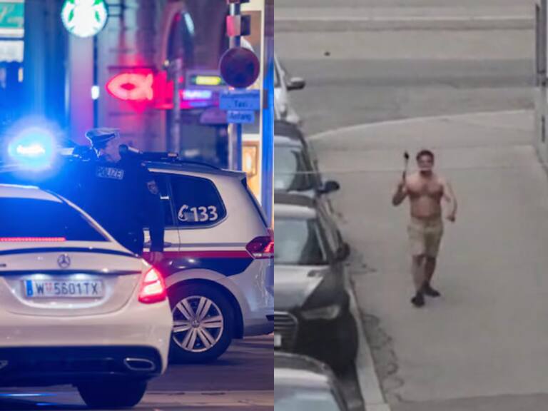 Asesinato de chilena en Austria: autor del crimen había escapado de hospital psiquiátrico