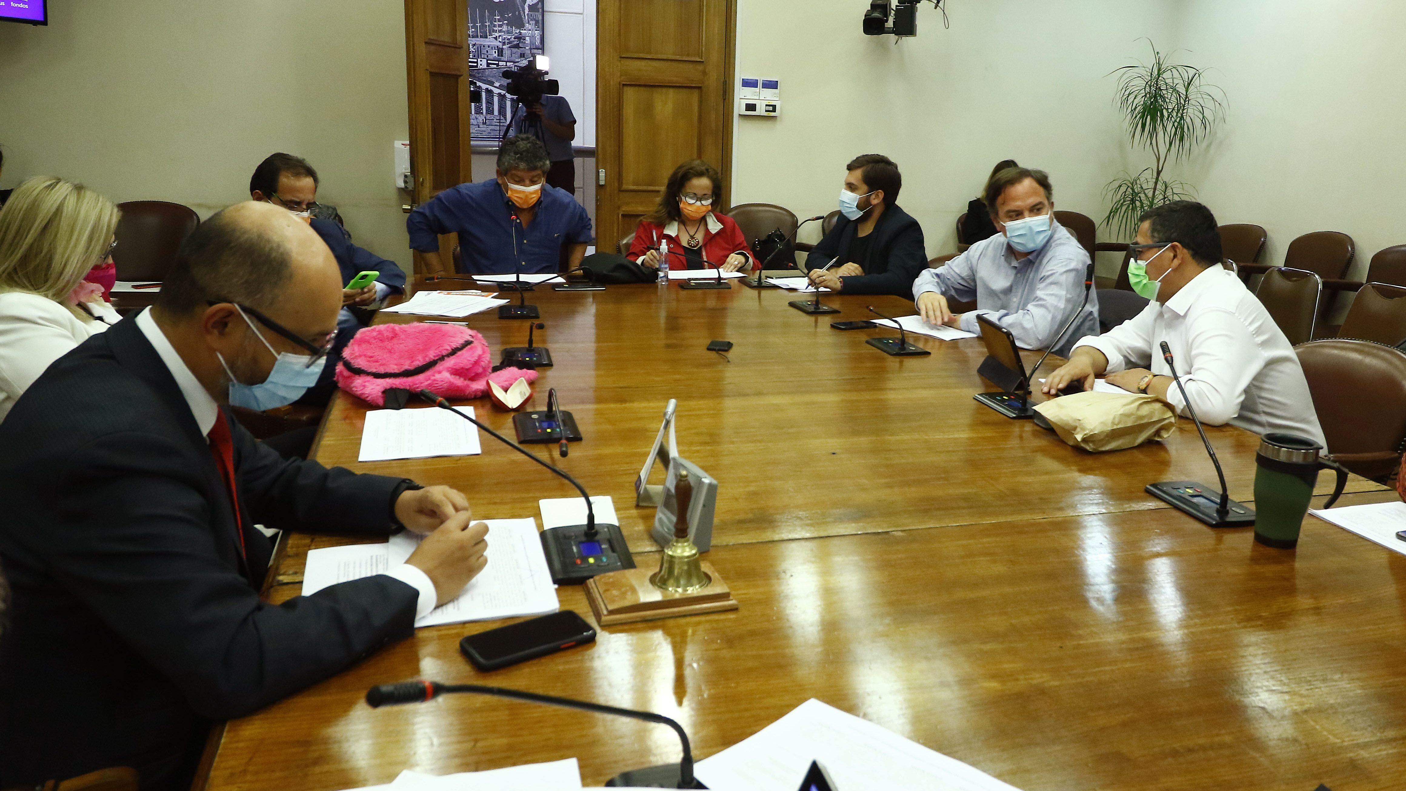 Comisión de Constitución