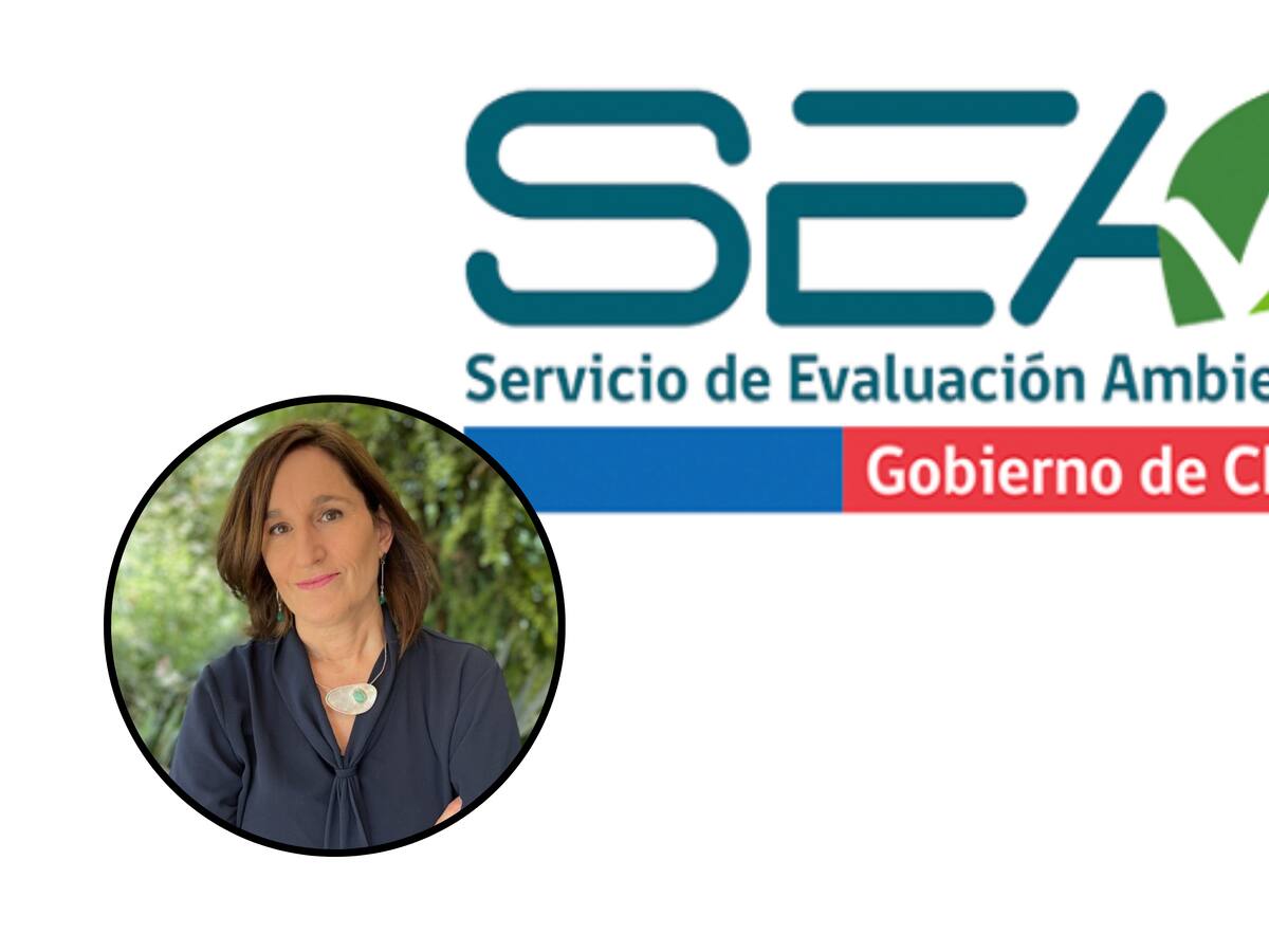 Declaran admisible recurso de sumariadas por Caso Licencias: acusan a directora del SEA de usar datos privados en juicio por maltrato laboral