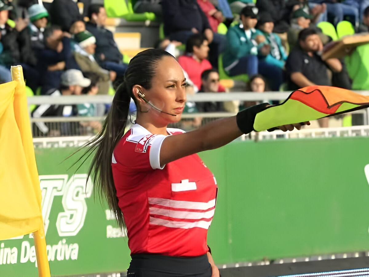 Cindy Nahuelcoy denuncia indignante situación en Cesfam luego de que a su papá lo atacara un perro