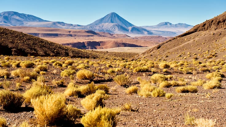 Harvard estudiará el Desierto de Atacama para diseñar futuros resilientes frente a la escasez hídrica
