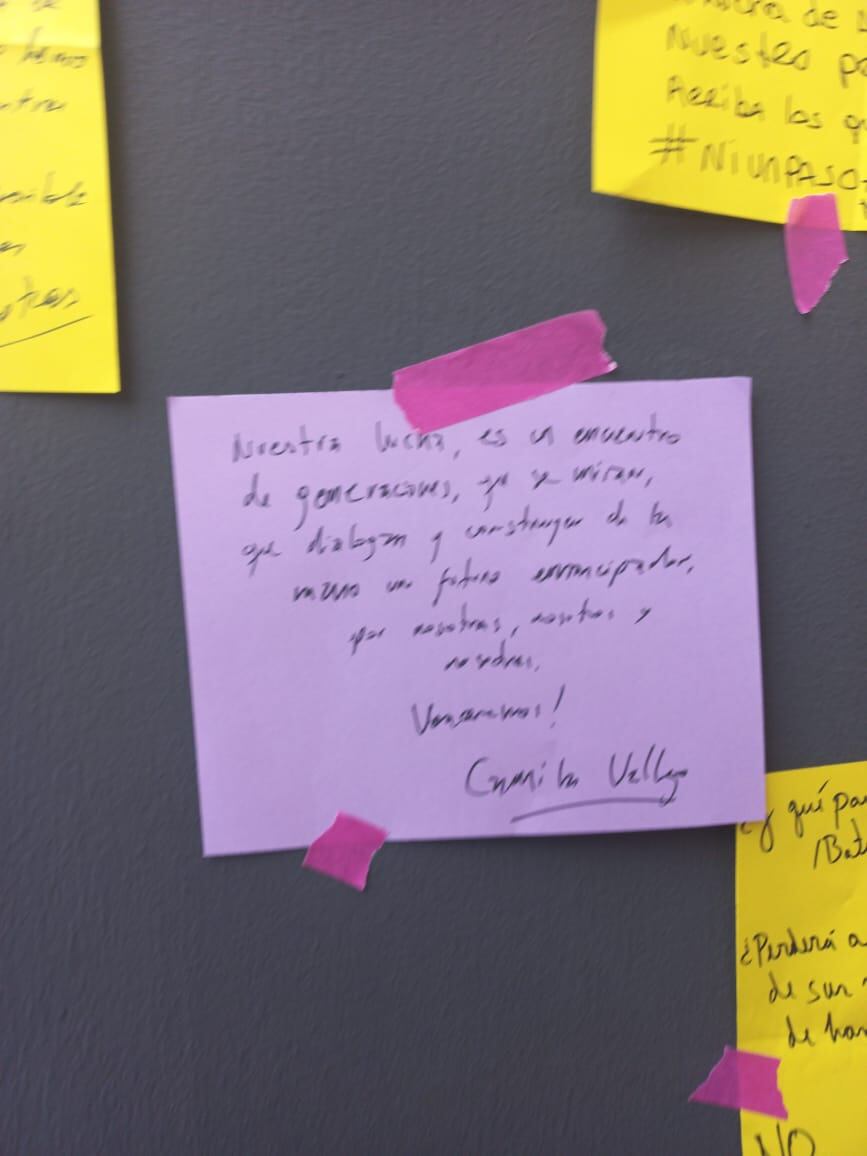El mensaje de la próxima vocera de gobierno, Camila Vallejo. / ADN