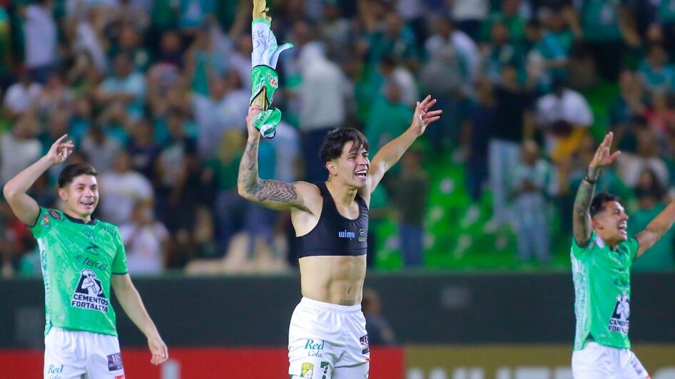 león tigres