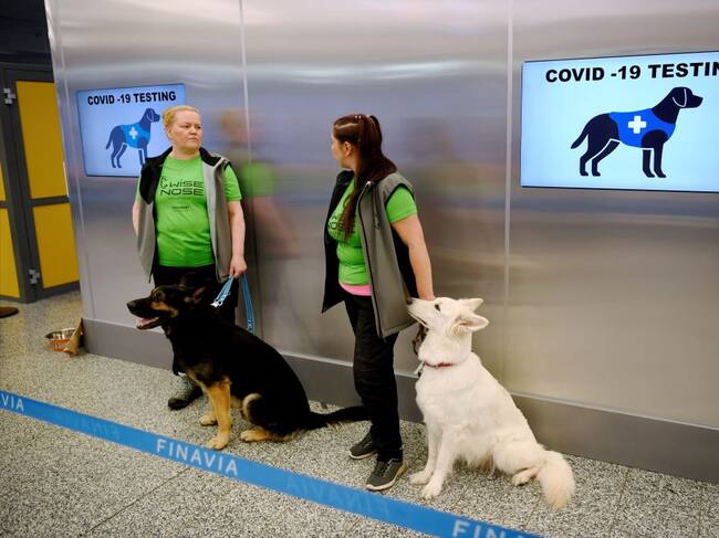 Perros detectores del Covid-19 en el aeropuerto de Finlandia