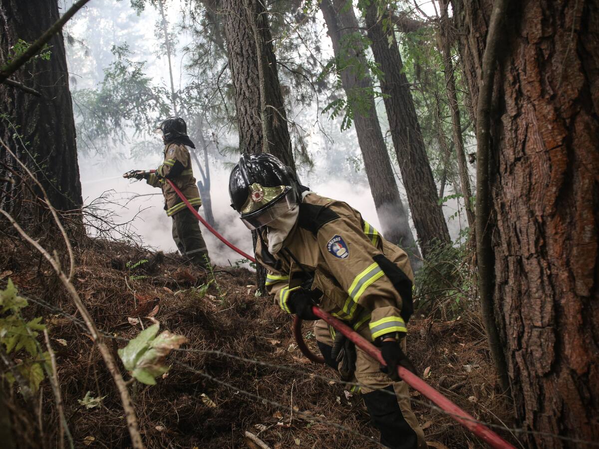 Región de O’Higgins: declaran Alerta Roja en Litueche y La Estrella por incendios forestales