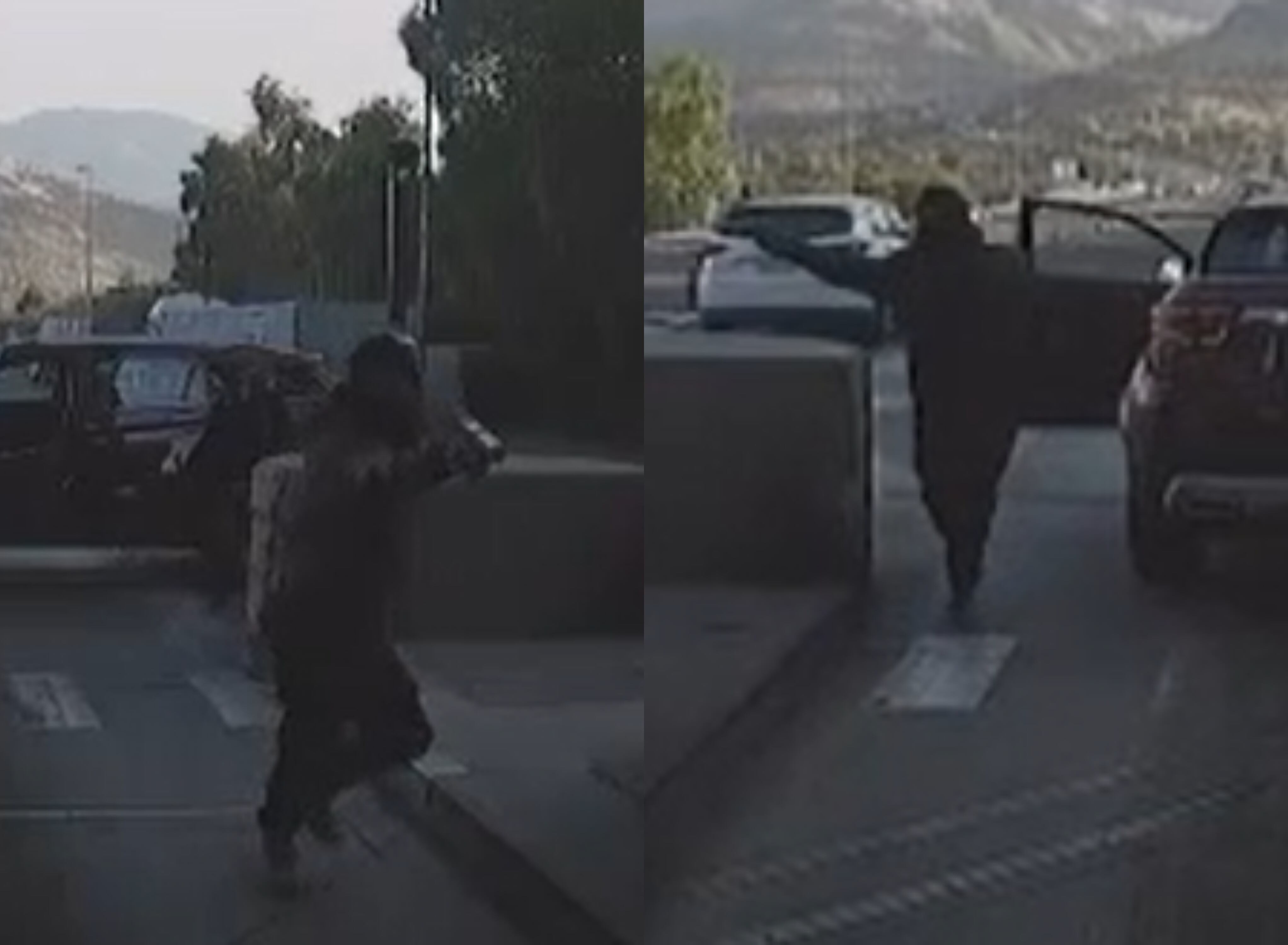 Capturas