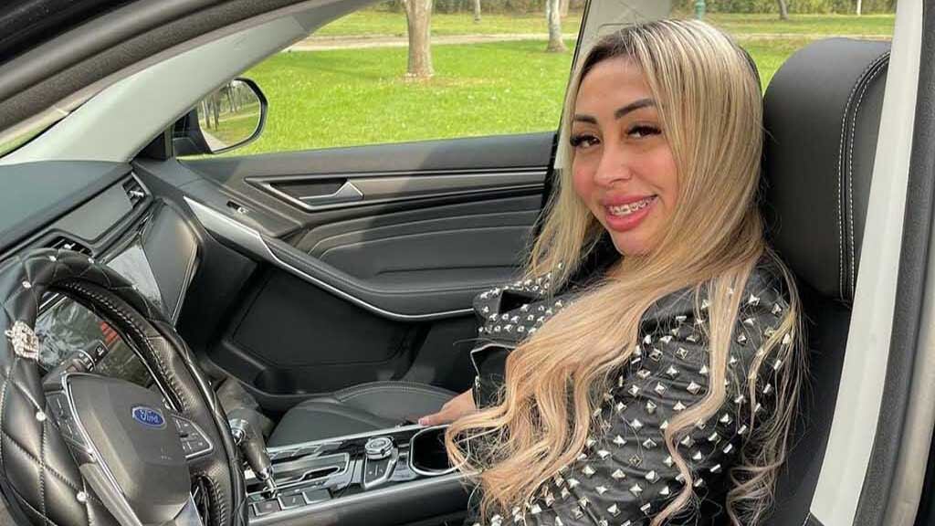 Naya Fácil camioneta 1
