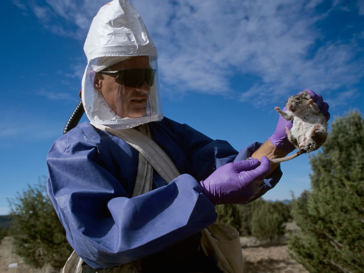 Virus Hanta: 5 claves para identificar riesgos y evitar contagios en zonas rurales