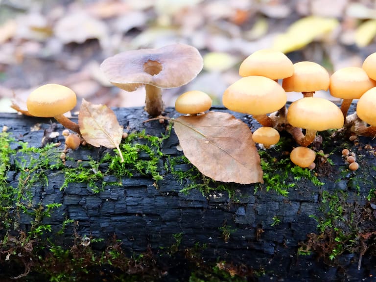 Getty Images | Referencial