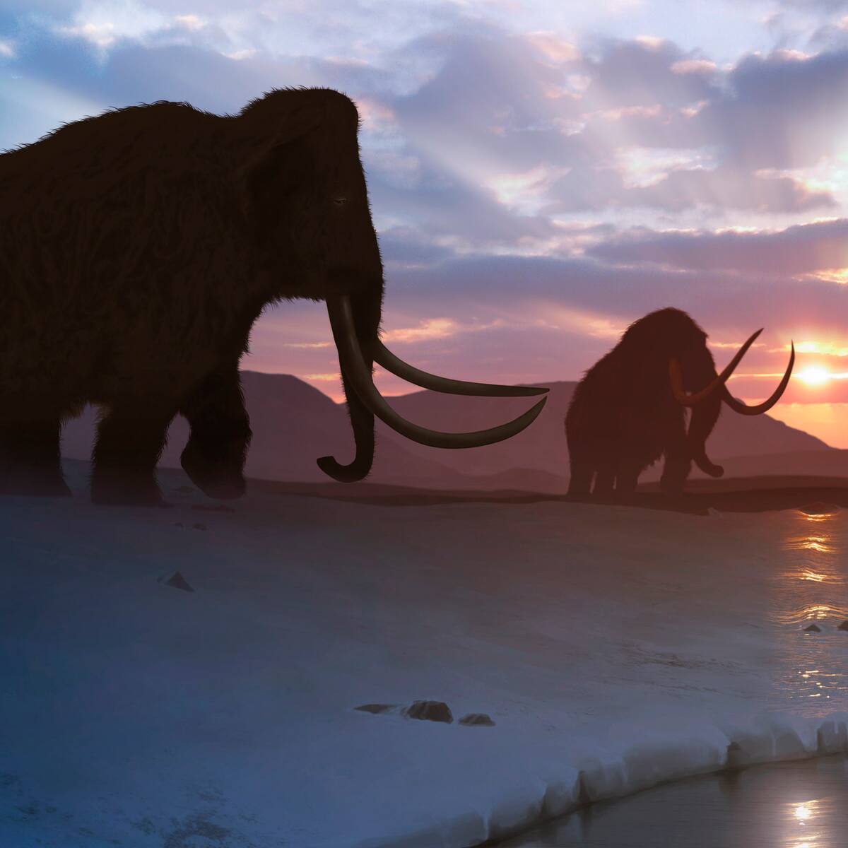 Museo expuso huesos de mamut por 70 años, pero eran de otro animal