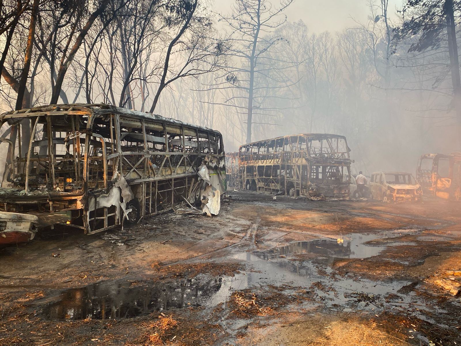 “No quedó nada”: el estremecedor relato de una víctima de los incendios forestales de Valparaíso
