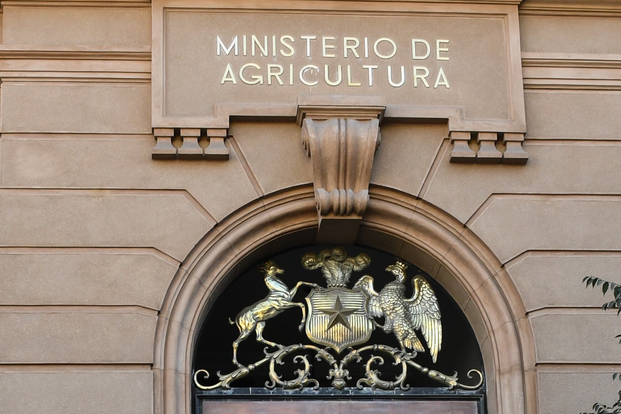 Agencia Uno | Imagen referencial