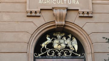 Sueldos podrían superar los $3.5 millones: Ministerio de Agricultura busca trabajadores en distintas regiones de Chile
