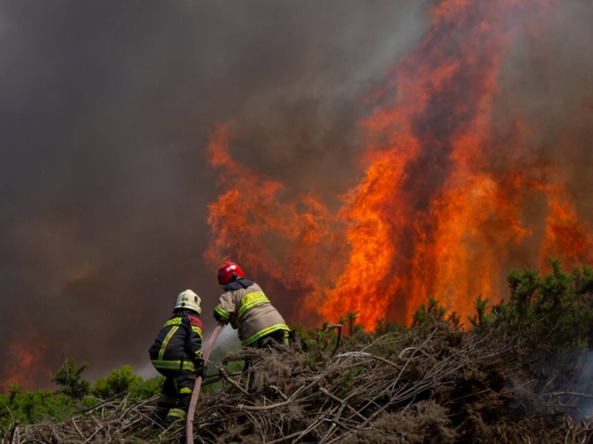 «Es incomprensible»: Ministra Toro cuestiona a personas que niegan recursos para combate de incendios forestales