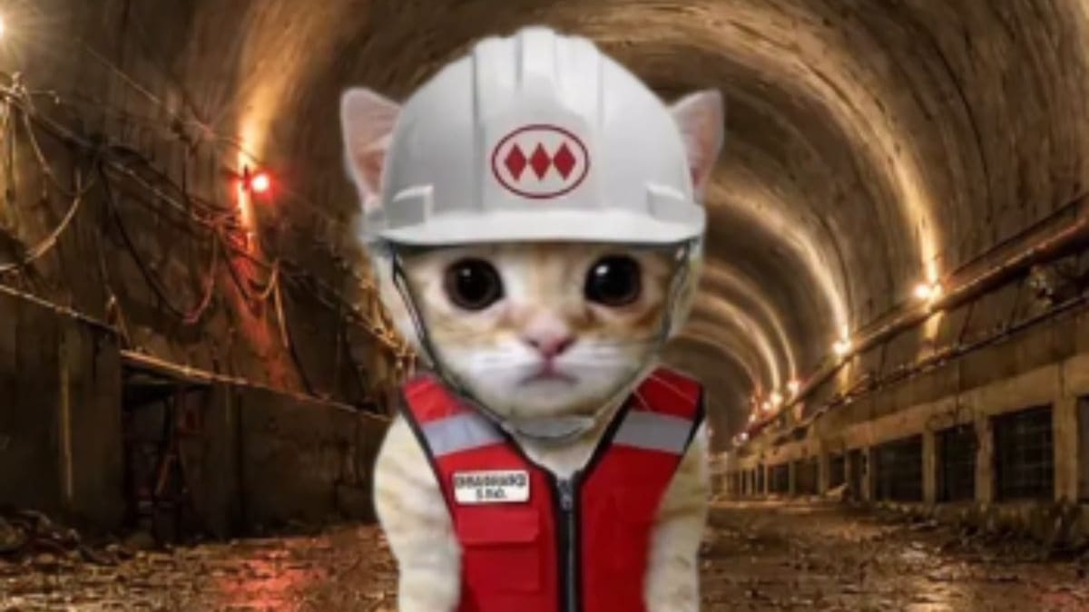 Vuelve la “Michi Bip!”: estas estaciones de Metro de Santiago venderán la cotizada tarjeta hoy lunes