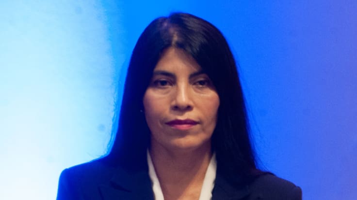 Nueva polémica en Ciencia: informan ausencia de la ministra Lincolao a comisión clave por salida exsubsecretario Araos