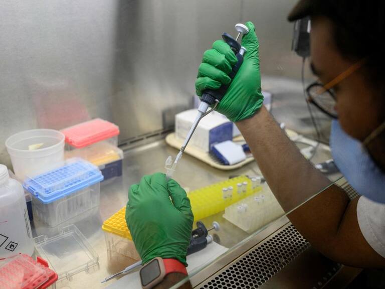 Técnicos médicos revisan muestras para detectar la polio en Nueva York