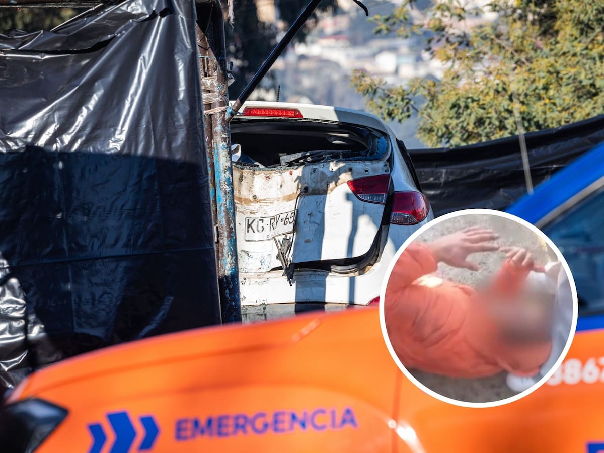 “Me desmayé, te lo juro”: la declaración del conductor tras el atropello que dejó seis muertos en Viña del Mar