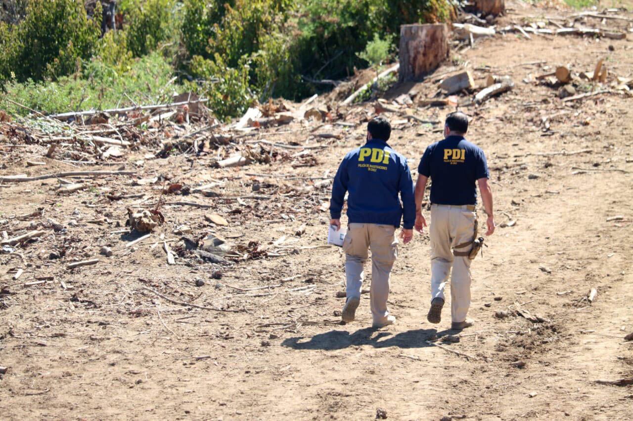 Las diligencias de la PDI en el sitio del suceso. Foto: Agencia Uno