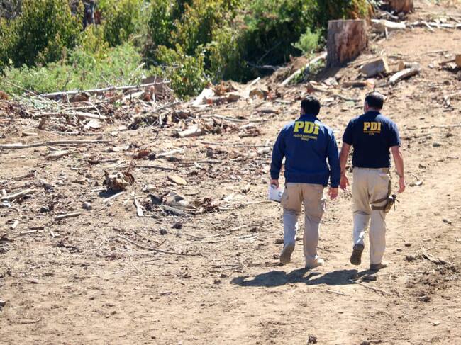 Las diligencias de la PDI en el sitio del suceso. Foto: Agencia Uno