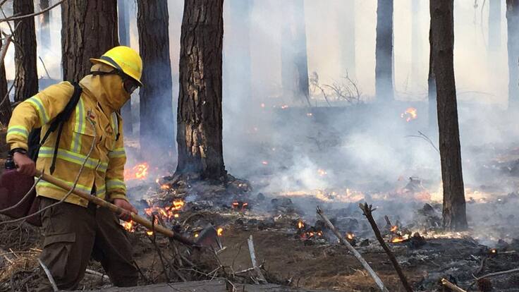 Atacan a brigada que combatía incendios en Curanilahue