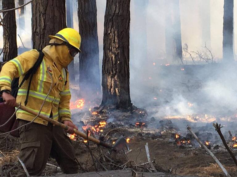 Atacan a brigada que combatía incendios en Curanilahue