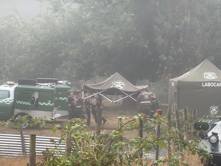 Con mordeduras de ratones y encerrado en una bodega: el deplorable estado en que fue encontrado el testigo del caso Julia Chuñil