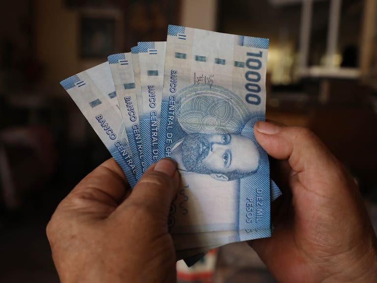 Bono Marzo 2024: ¿Desde cuándo se podrá consultar con tu RUT? Esto es todo lo que sabe del Aporte Familiar Permanente