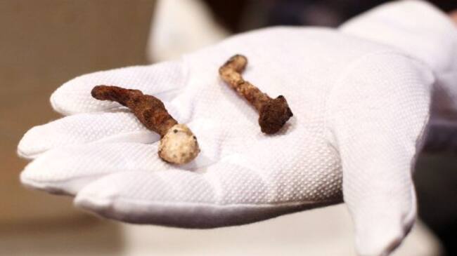 Aseguran que encontraron los clavos de la crucifixión de Jesús