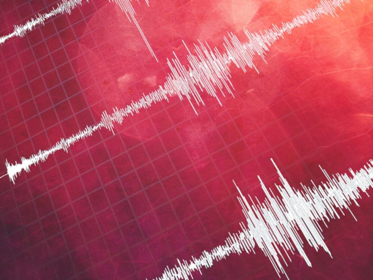 SHOA descarta riesgo de tsunami en Chile tras fuerte temblor registrado en el sur de Chile
