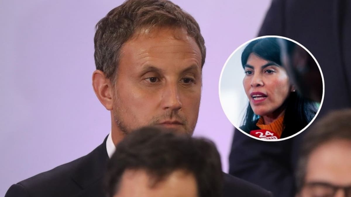 Exsubsecretario Araos desmiente a ministra Lincolao por presuntos despidos: “Es real y hay testigos”