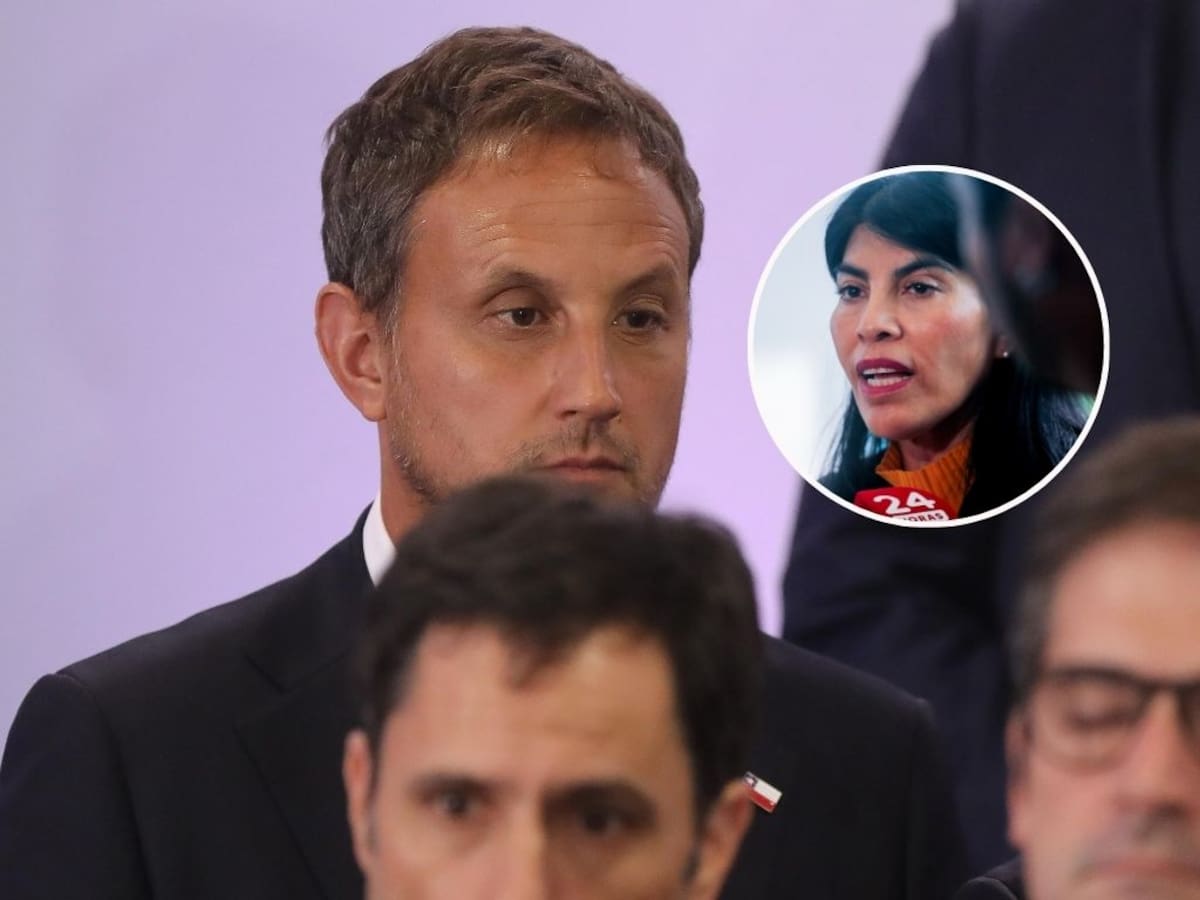 Exsubsecretario Araos desmiente a ministra Lincolao por presuntos despidos: “Es real y hay testigos”