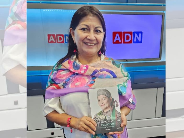 Elisa Loncon, 1024x576 jpg ok