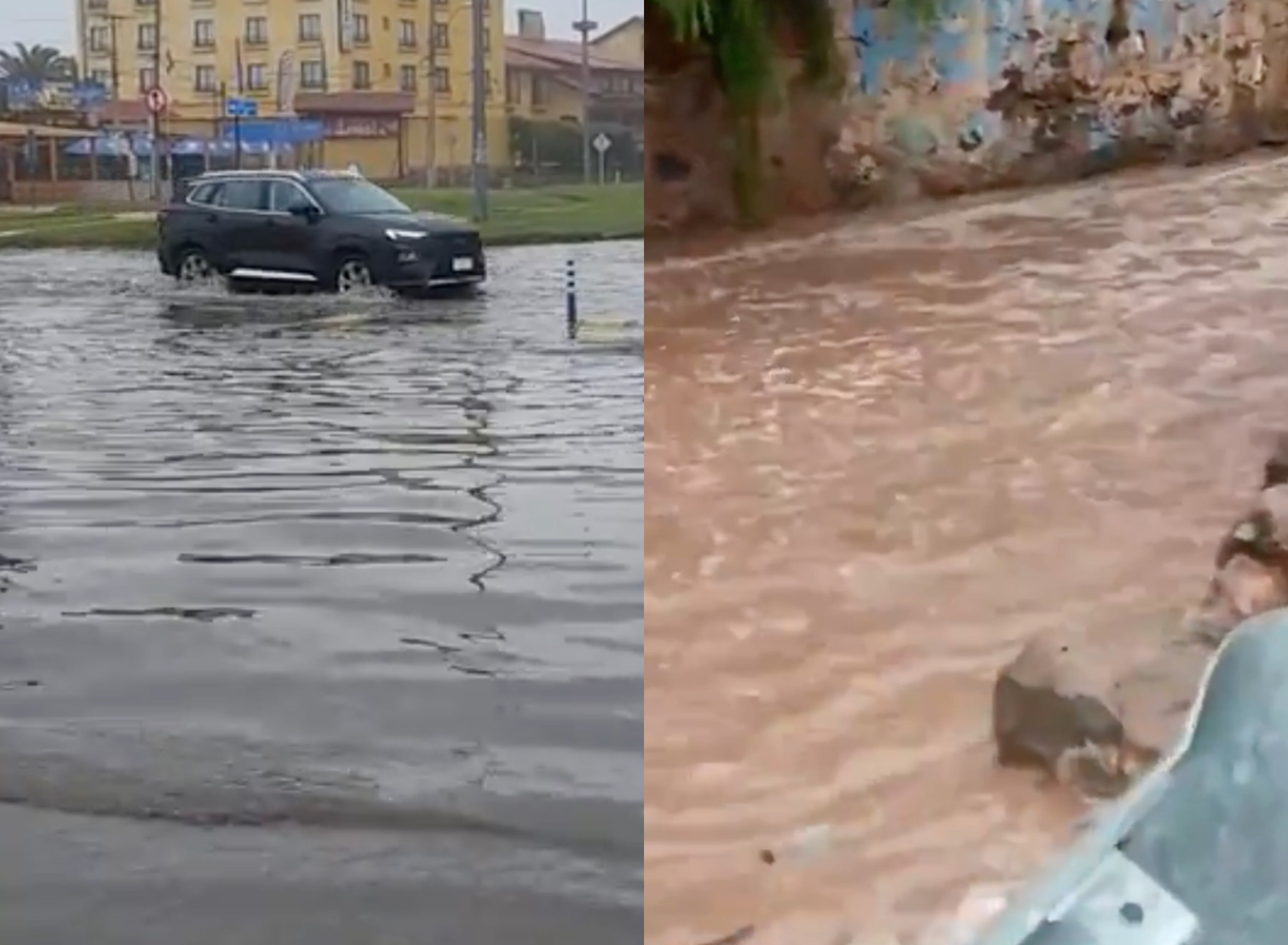 Capturas