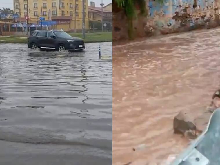 Capturas