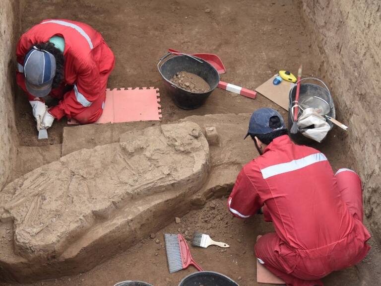 De hasta 11 mil años de antigüedad: Metro confirma hallazgos arqueológicos en construcción de futura Línea 7 en Renca