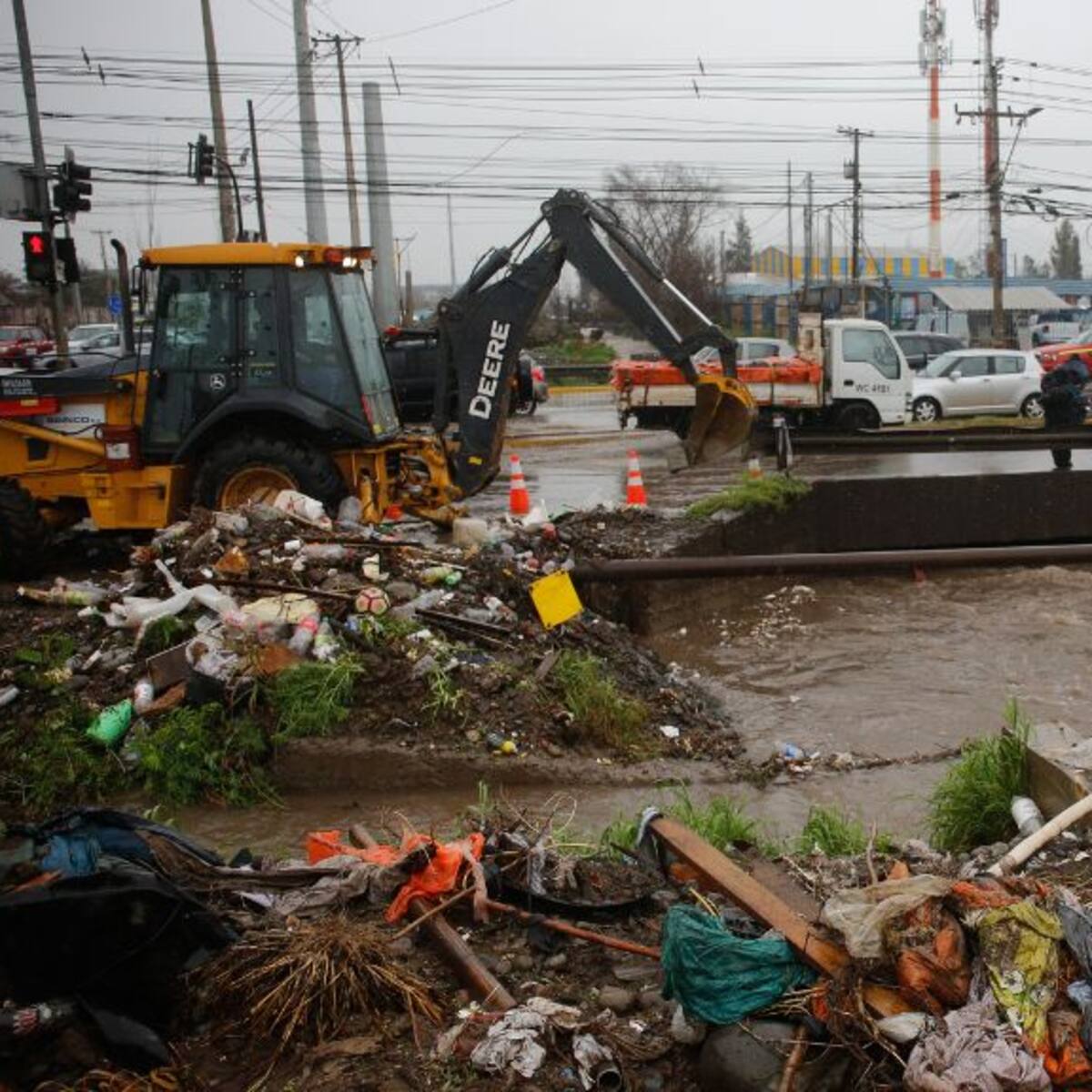 Temporal en la capital: autoridades contabilizan más de 15 árboles caídos