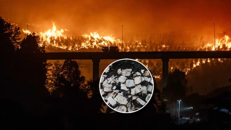 ¿Fuiste víctima de los incendios? Te contamos cómo recuperar todos los documentos clave