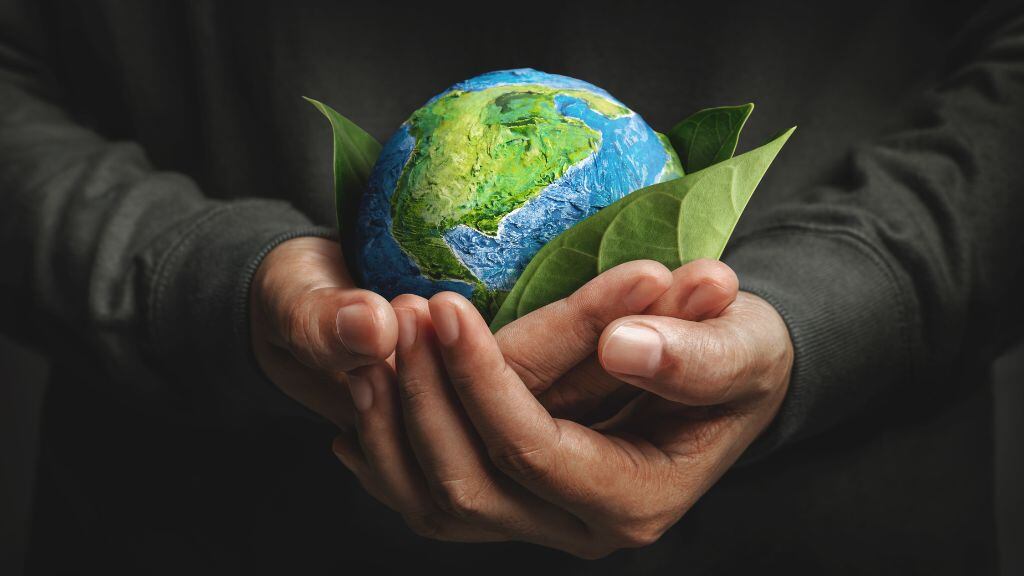 Día Nacional del Medioambiente
