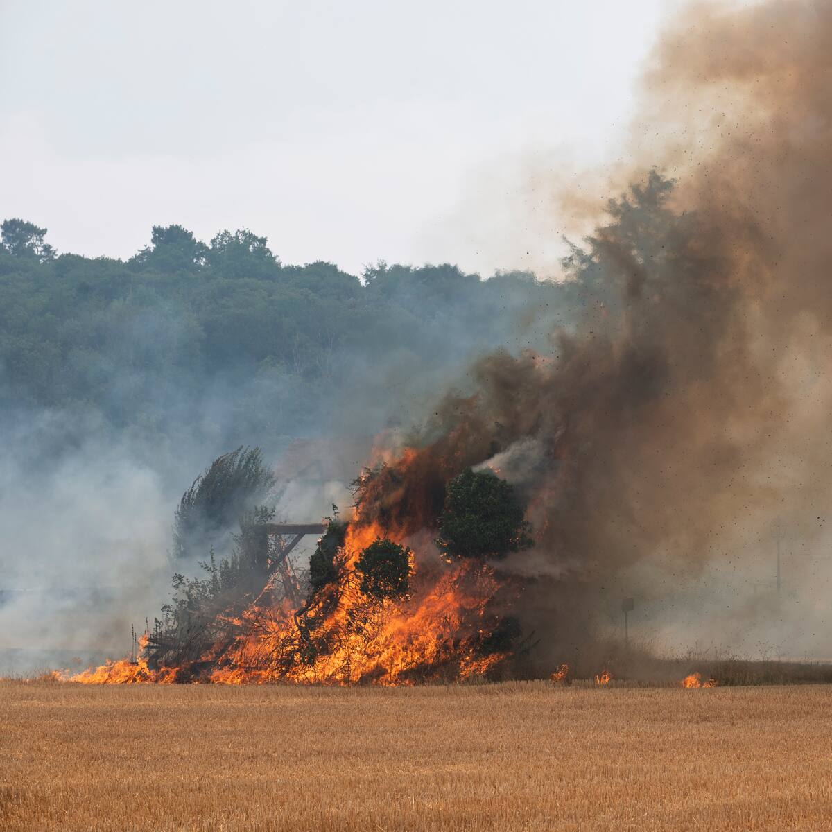 Incendio forestal arrasa 1.900 hectáreas en Francia: dos personas fueron detenidas