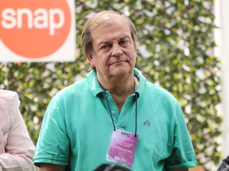 Oposición critica nombramiento de Francisco Vidal en TVN: “Un premio por haber sido vocero del En Contra”