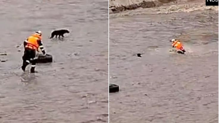 Policía es arrastrado por río al intentar rescatar a un perro en Perú: dramático video captó el momento