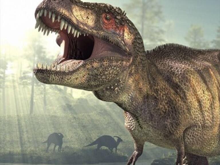 Estudio revela que dinosaurios habrían sonado como un ave