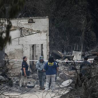 Trabajador del Jardín Botánico de Viña fallece tras permanecer más de 40 días grave tras mega incendio en la zona