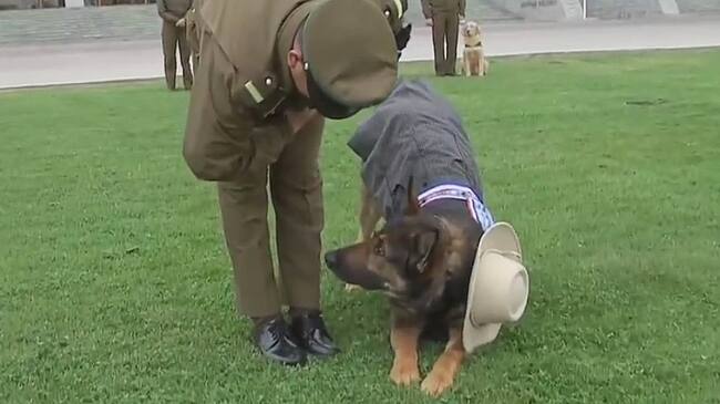 Solo tres detenidos: Carabineros entregó un balance positivo respecto del primer día de celebraciones en el Parque O'Higgins