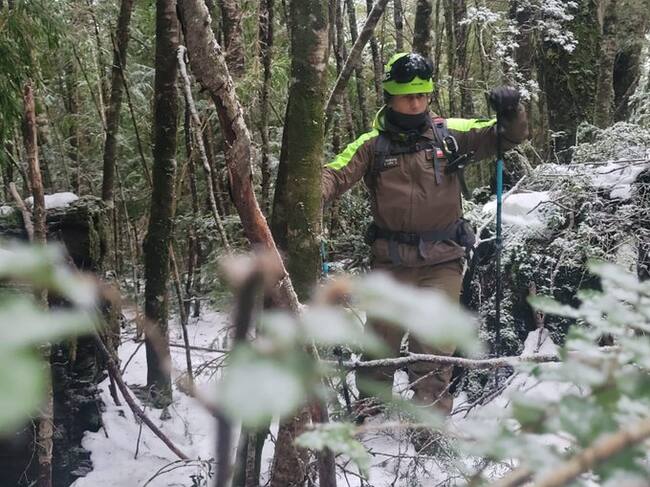 Búsqueda de montañista en Parque Nacional Villarrica.