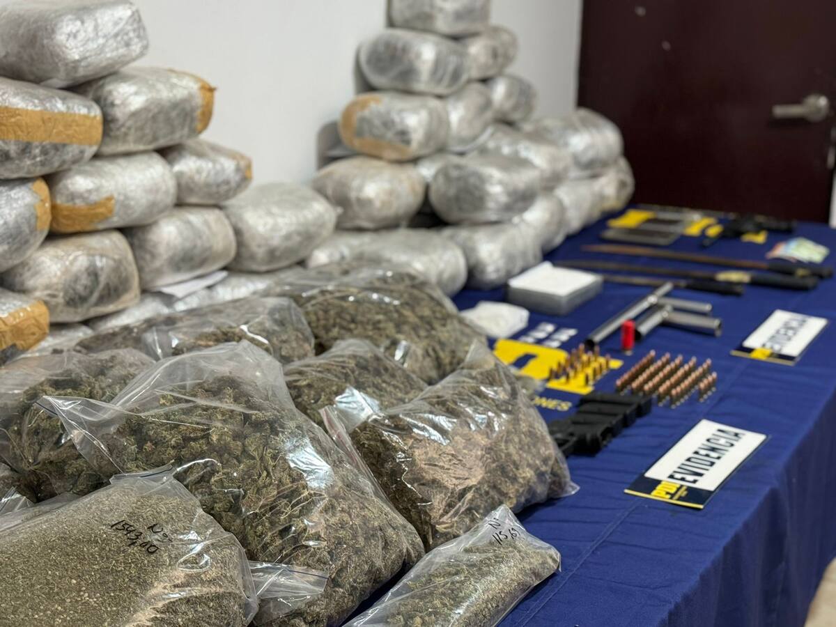 PDI detiene a banda criminal en población de Estación Central: incautó más de 77 kilos de cannabis